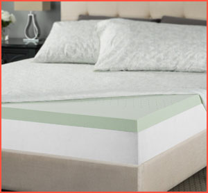 Best Memory Foam Mattress Topper Reviews 2020 Insidebedroom,How To Store Peaches Until Ripe