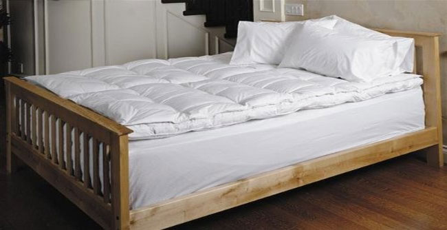 Queen Daniadown White Goose Down Featherbed Topper