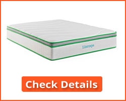 Top 8 Low Price And High Performance Best Budget Mattress In 2020