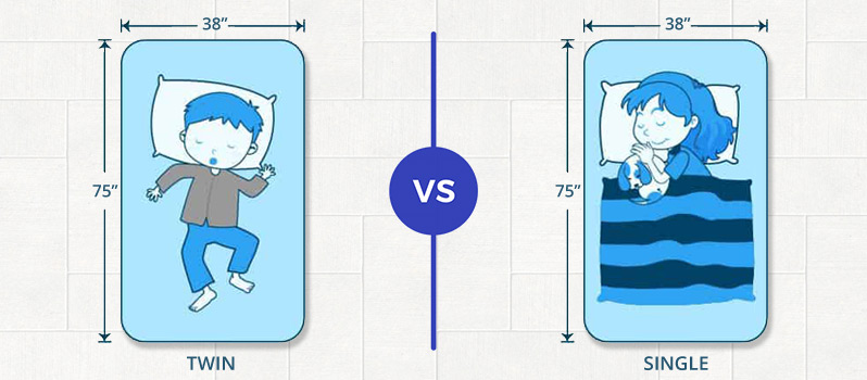 what is the difference between twin and single bed