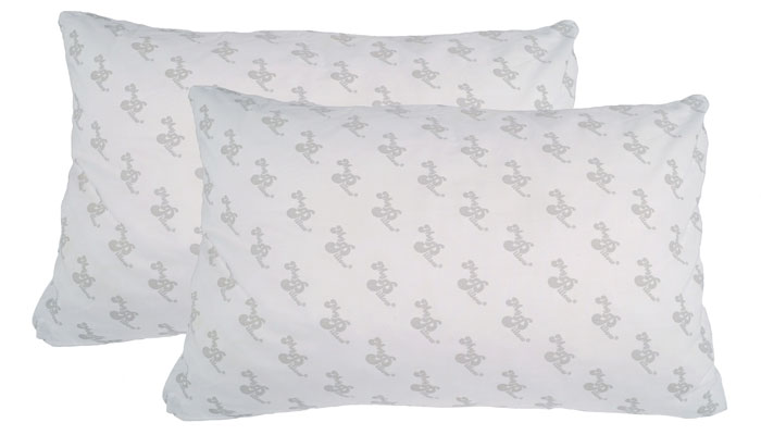 MyPillow Review