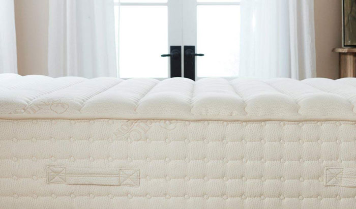 PlushBeds Botanical Bliss Mattress Surface