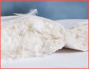 Best Feather Pillows Reviews
