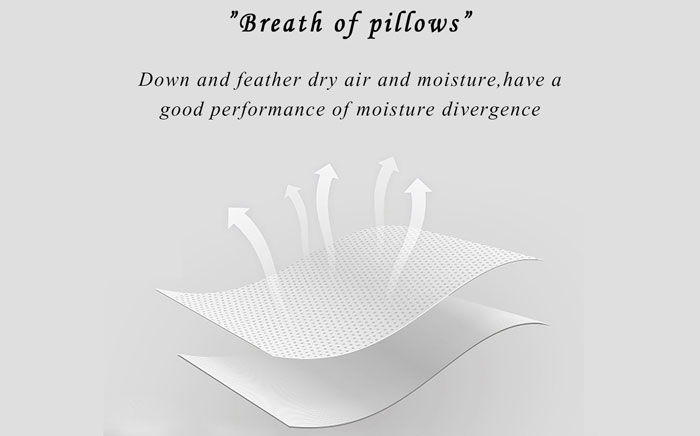 WENERSI White Goose Feather and Down Pillow Feature