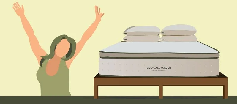 Avocado Green Mattress Review