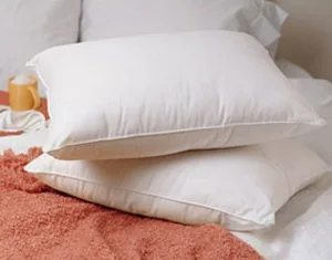 Best Down Pillows Reviews