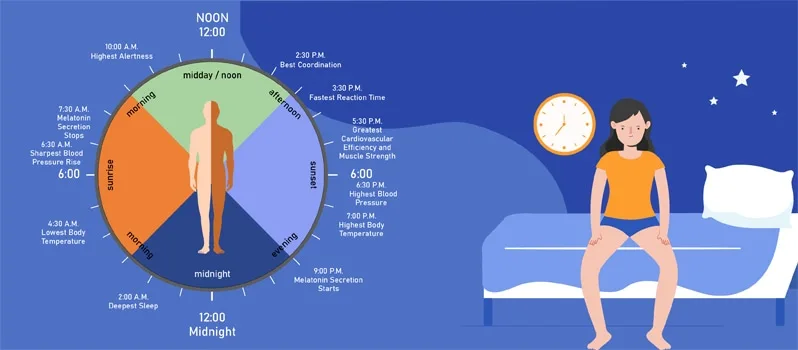 How to Reset Your Sleep Schedule (Circadian Rhythm)