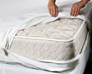 Best Mattress Encasement