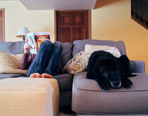 Best Sleeper Sofa Pic