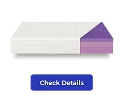 The Purple Bed
