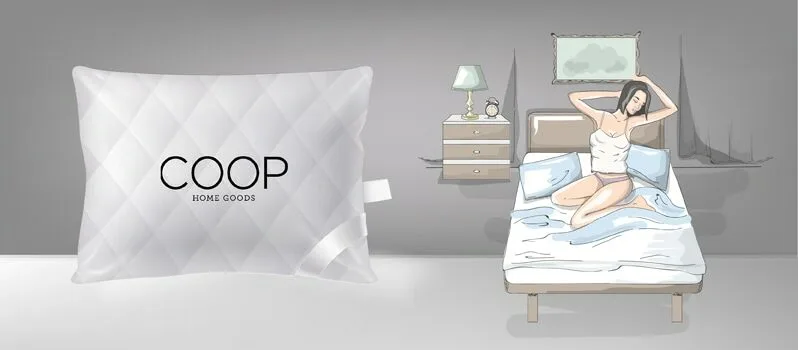 Coop Home Goods Pillow Review Coop Home Goods Pillow Review