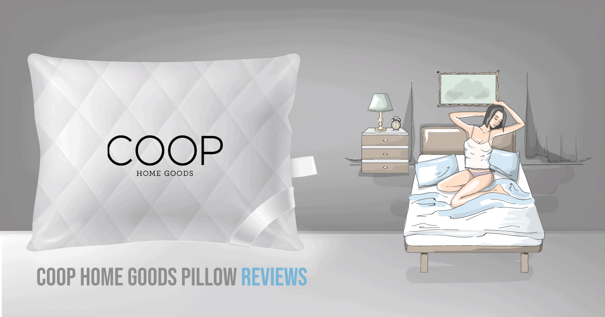 Details about   Shredded Memory Foam Pillow With Bamboo Cover Coop Home Goods Queen/King Size 