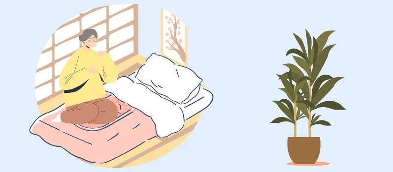 Best Japanese Floor Mattress: Tatami and Futon