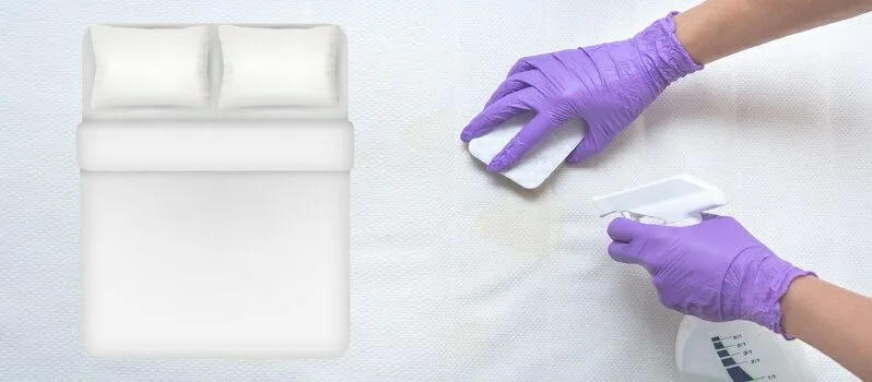 Clean Feather Mattress Topper